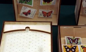 激光切割设计图丨展示盒