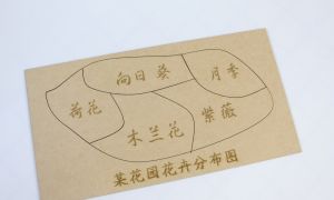 激光切割设计图丨平面项目3：七巧板