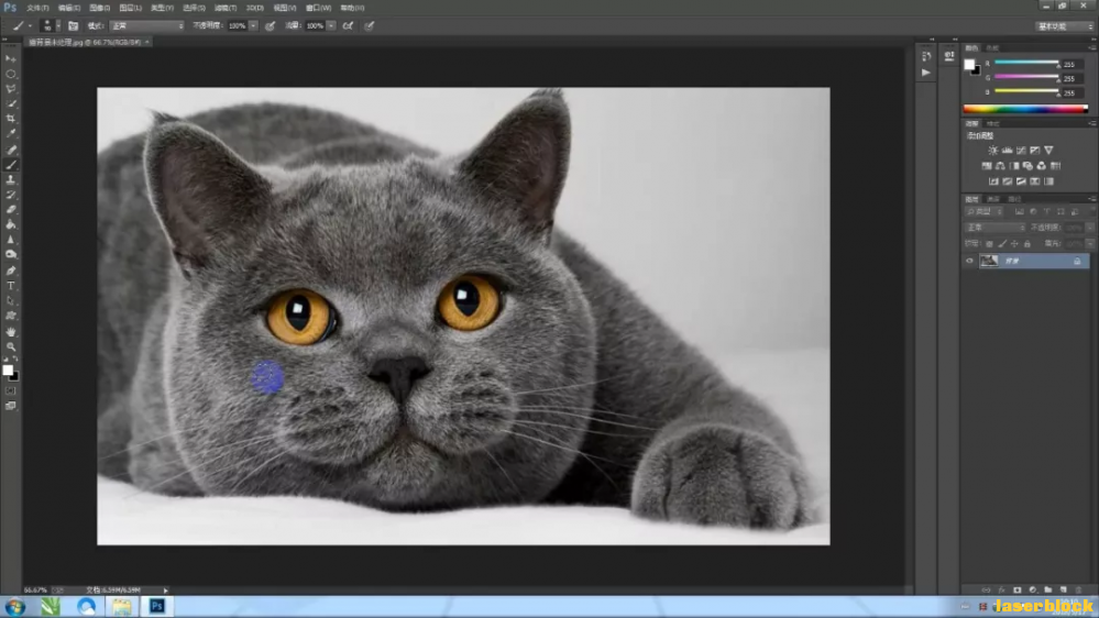 1.png