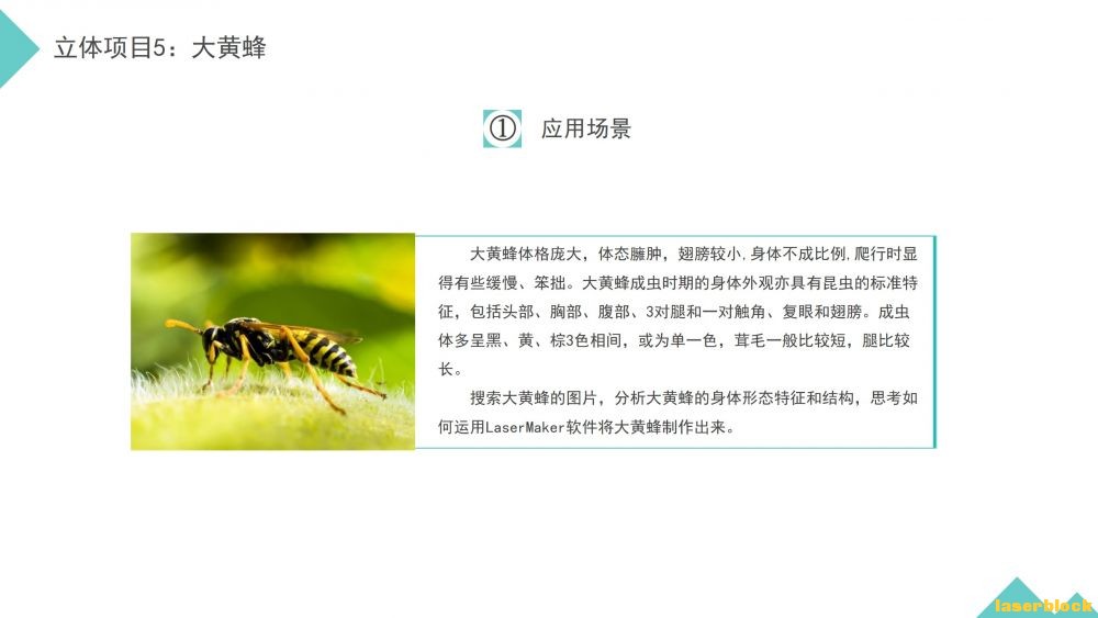幻灯片3.JPG